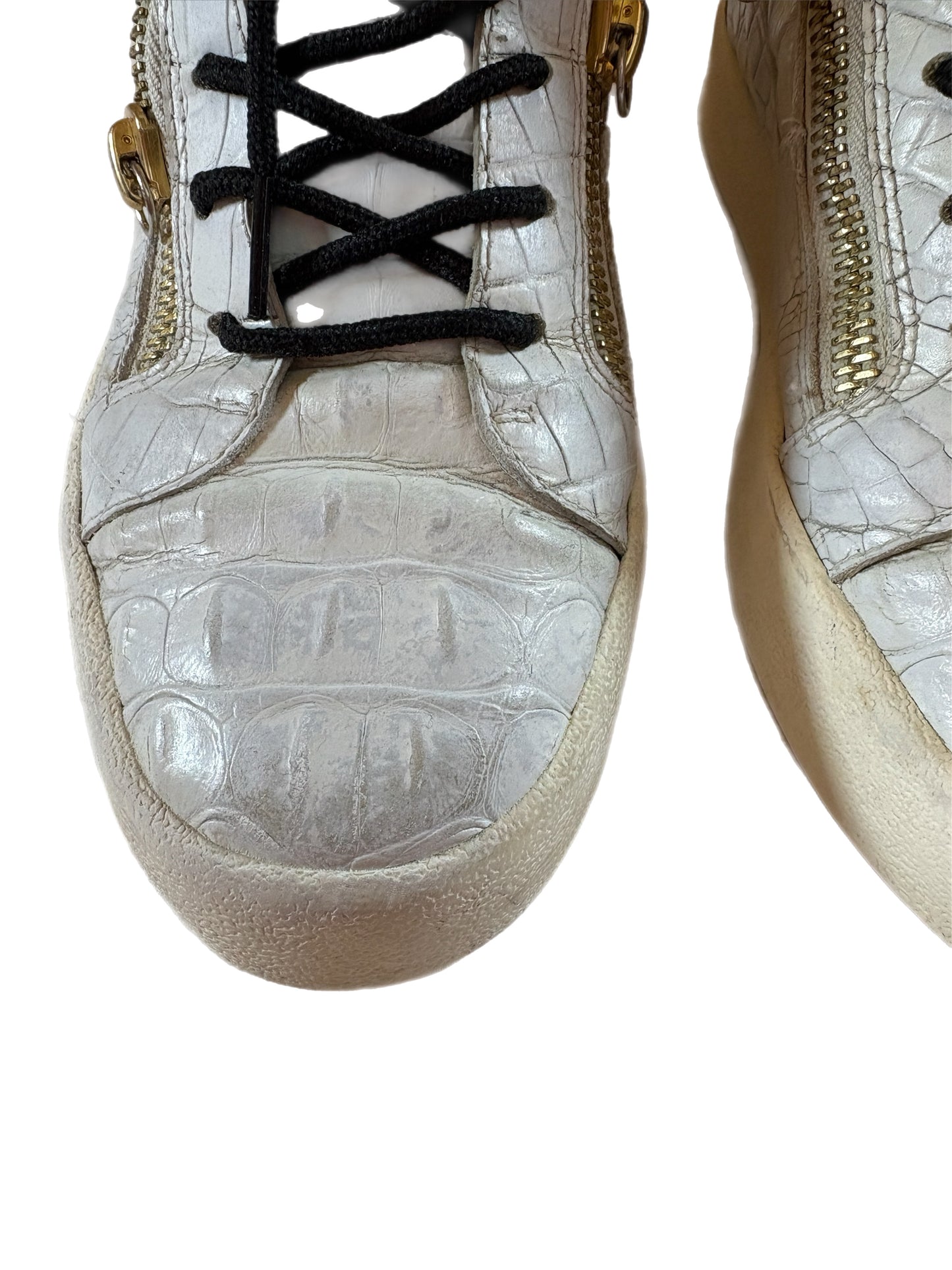 Sneakers Giuseppe Zanotti